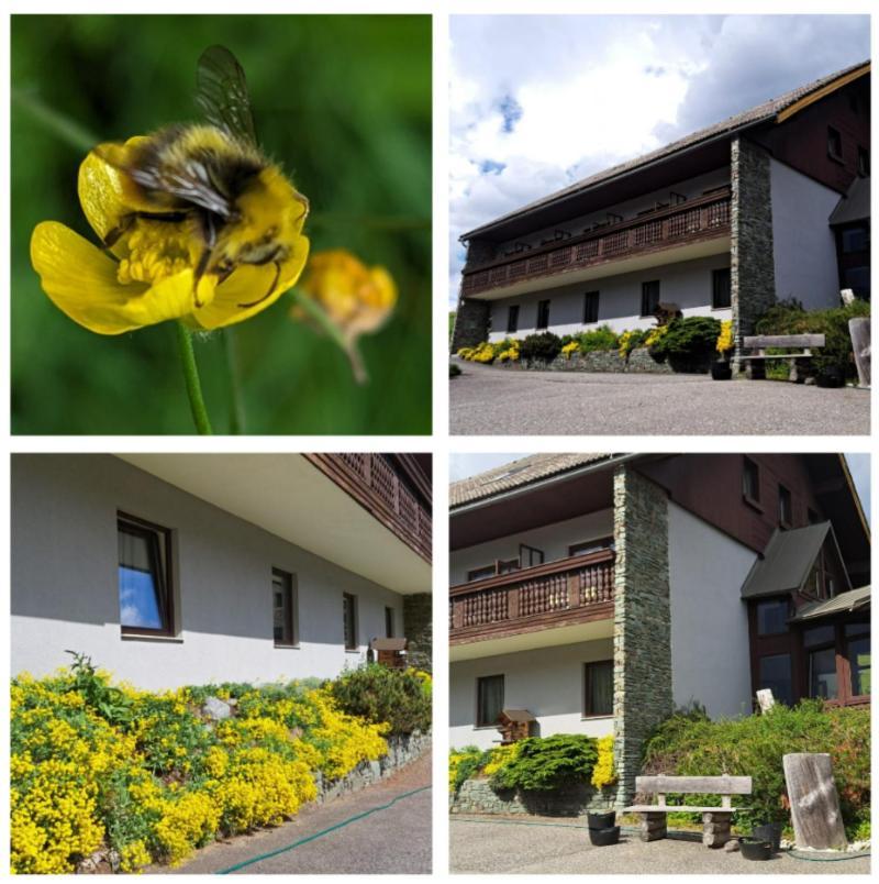 Hotel Draxlerhaus à Hohentauern Extérieur photo